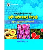 သက်ရှည်ကျန်းမာရေးအတွက် လူတိုင်းနေ့စဉ်စားသုံးရမည့် သီးနှံသုံးမျိုး